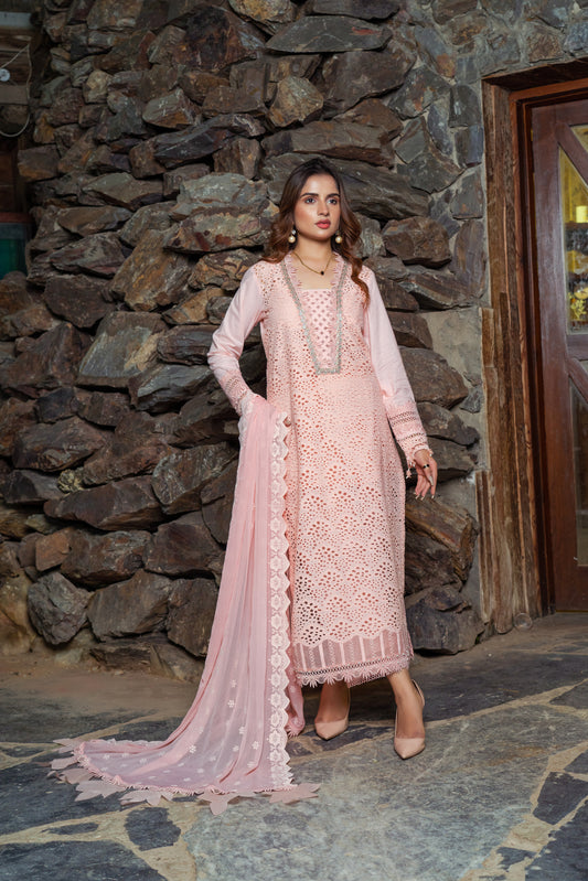 Blush - Unstitched 3-Piece Lawn Suit
